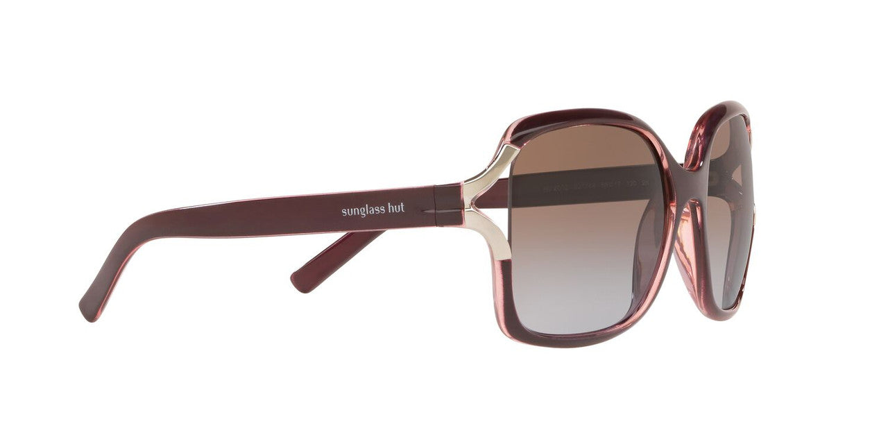Lentes De Sol Sunglass Hut HU2002 Café/Café