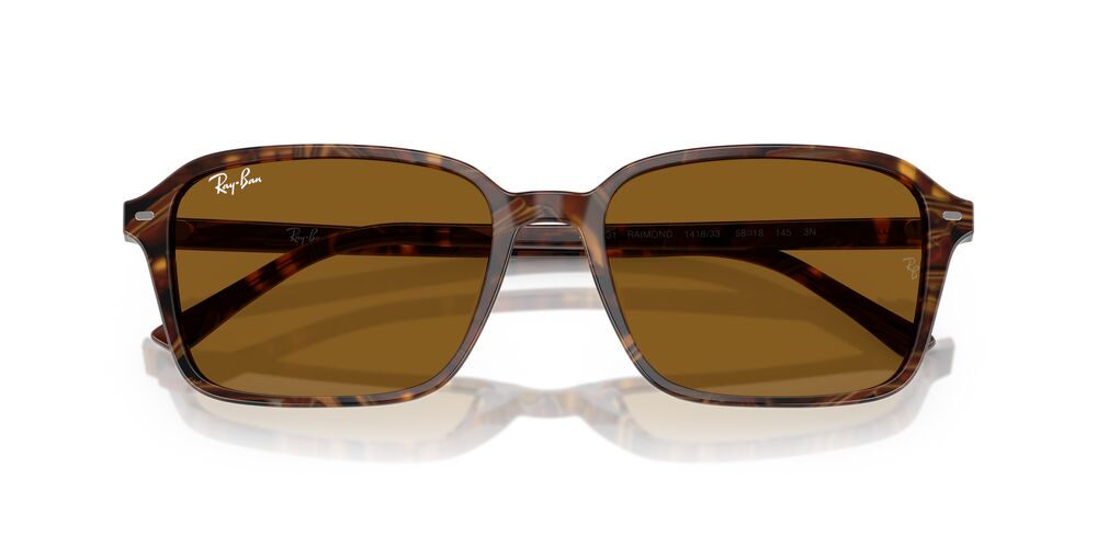 Lentes De Sol Ray-Ban RB2231 Café/Café