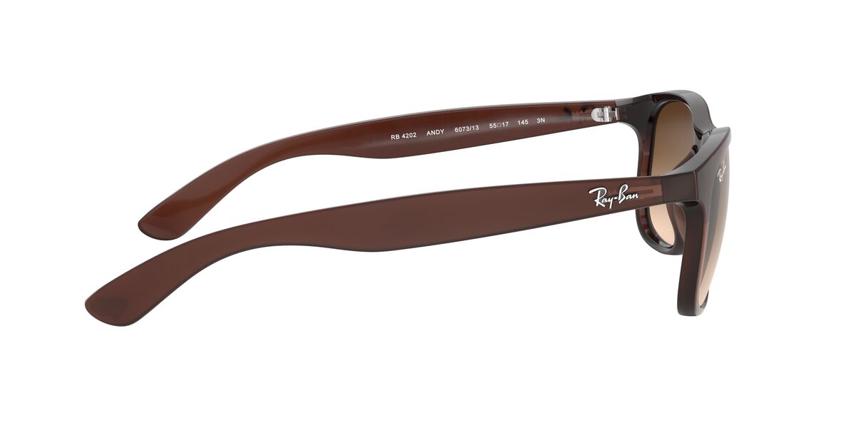 Lentes De Sol Ray-Ban RB4202 Andy Café/Café