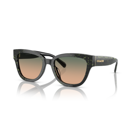 Lentes De Sol Ray-Ban HC8379U Verde/Verde