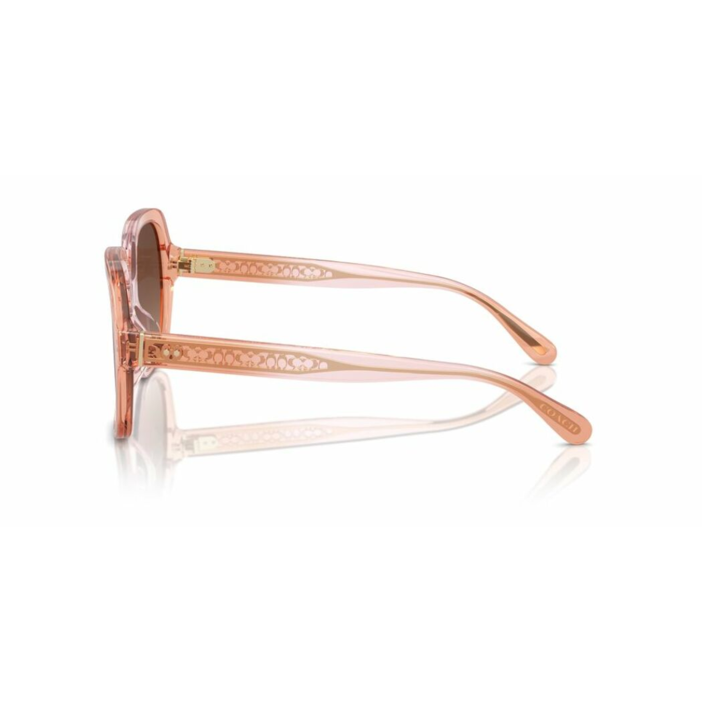 Lentes De Sol Coach HC8395U Café/Rosa