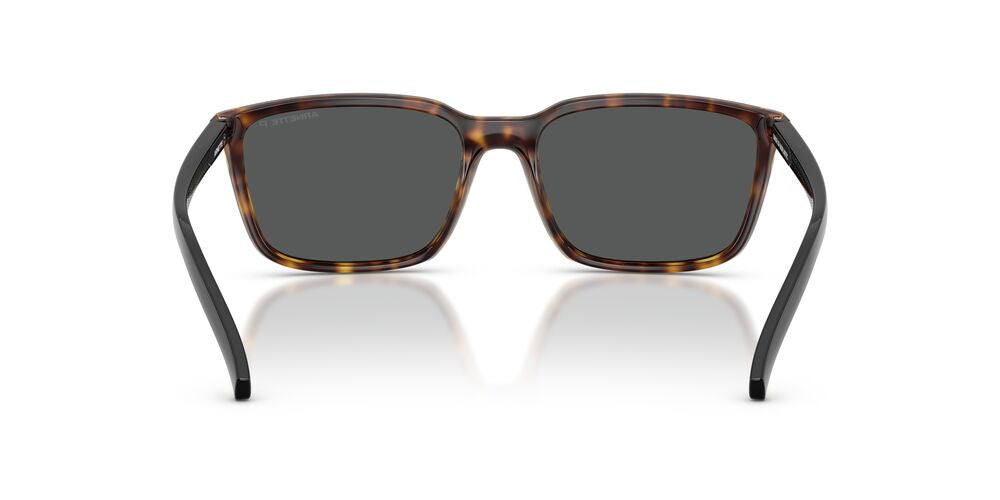 Lentes De Sol Arnette AN4311 Havana Dark Grey Polar Gris/Havana