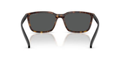 Lentes De Sol Arnette AN4311 Havana Dark Grey Polar Gris/Havana