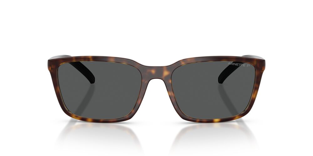 Lentes De Sol Arnette AN4311 Havana Dark Grey Polar Gris/Havana