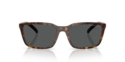 Lentes De Sol Arnette AN4311 Havana Dark Grey Polar Gris/Havana