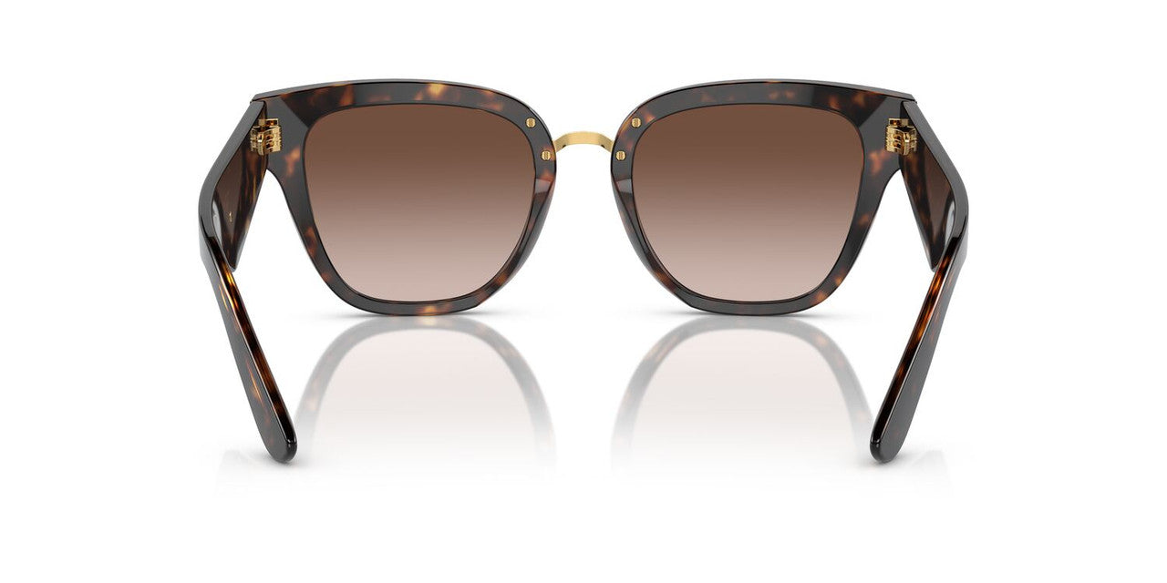Lentes De Sol Dolce & Gabbana DG4437 Café/Havana