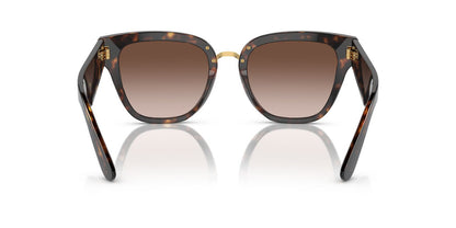 Lentes De Sol Dolce & Gabbana DG4437 Café/Havana