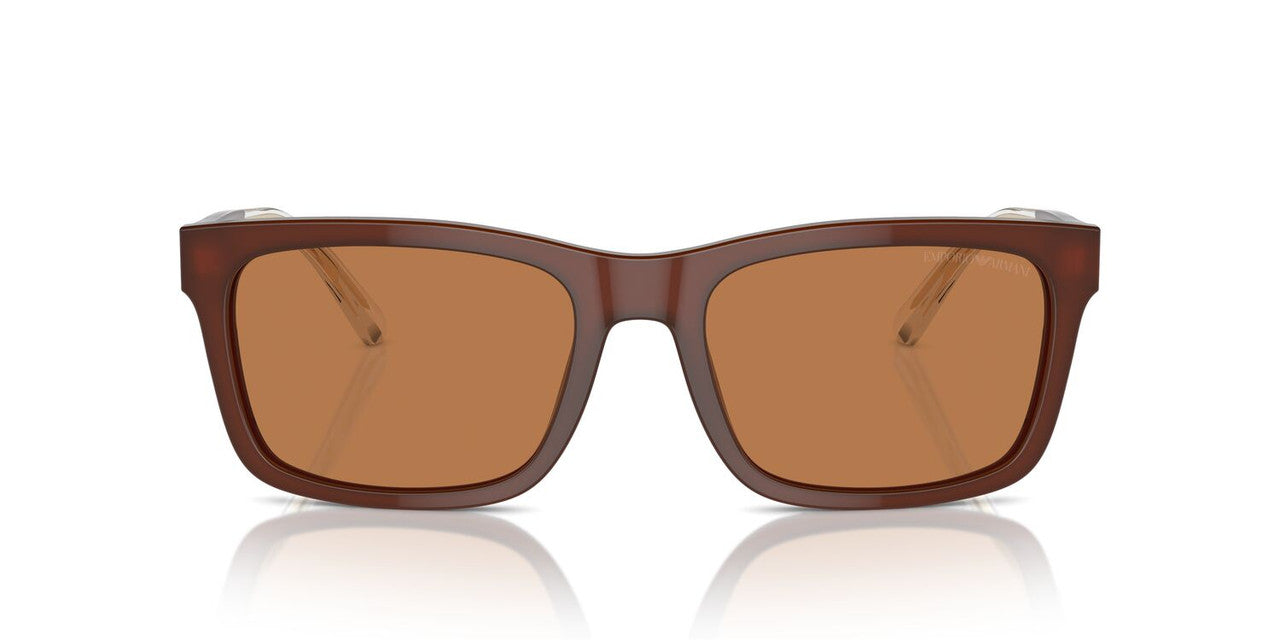 Lentes De Sol Emporio Armani EA4224 Café/Café