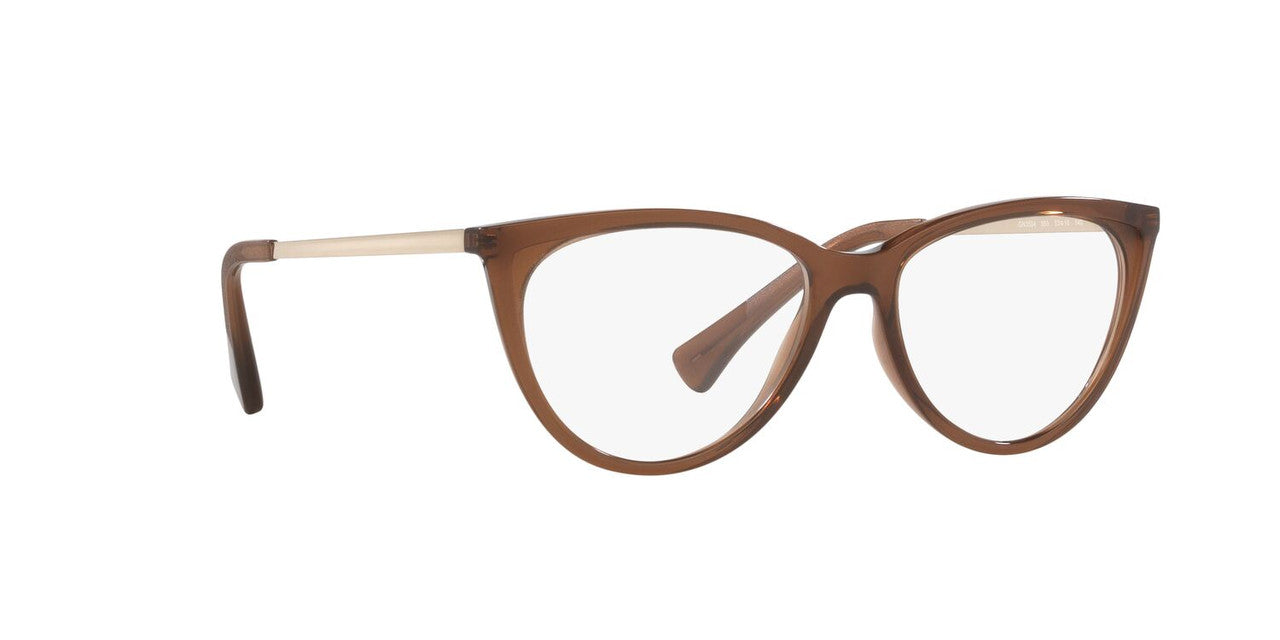Lentes Oftálmicos Gmo GN3504 Café