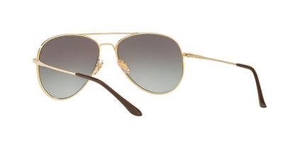 Lentes De Sol Sunglass Hut HU1001 Gris/Dorado