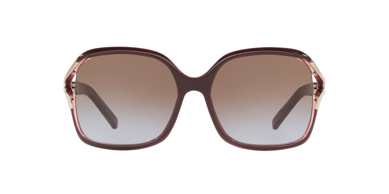 Lentes De Sol Sunglass Hut HU2002 Café/Café