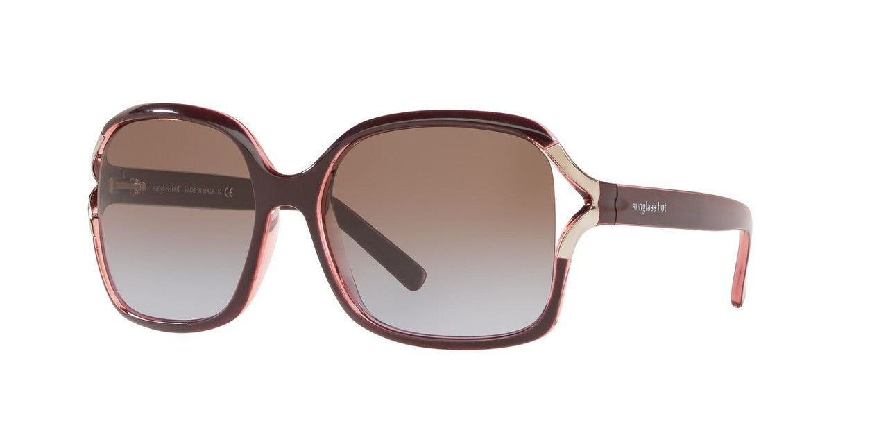 Lentes De Sol Sunglass Hut HU2002 Café/Café