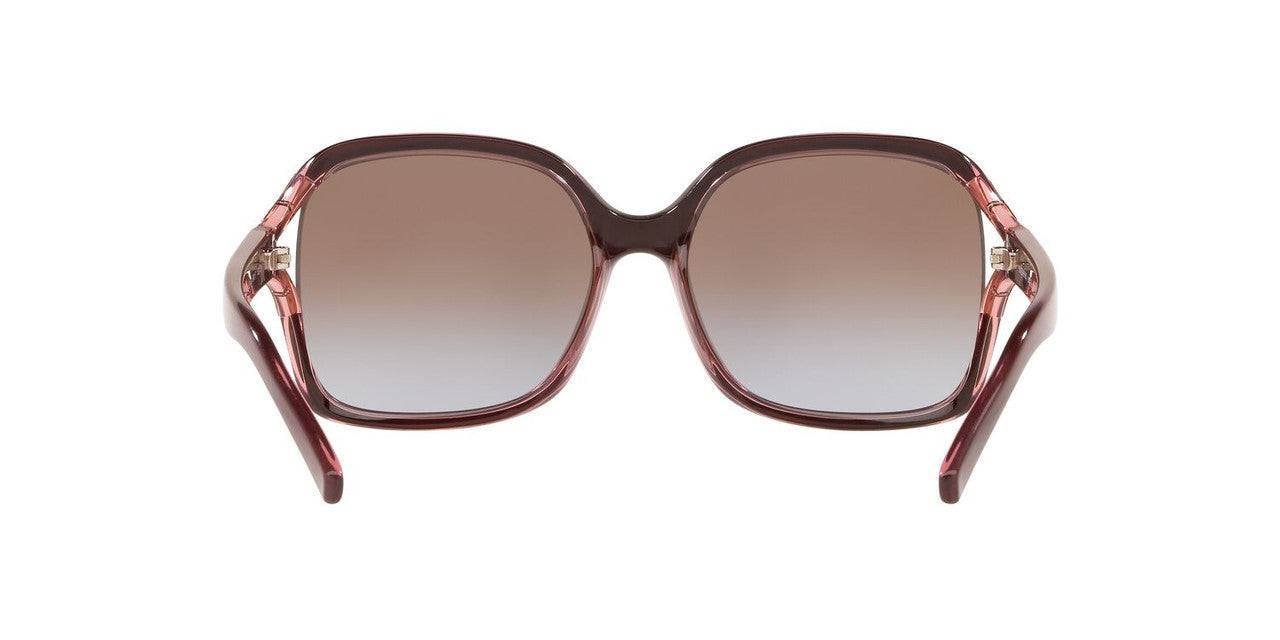 Lentes De Sol Sunglass Hut HU2002 Café/Café