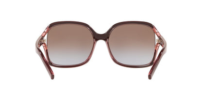 Lentes De Sol Sunglass Hut HU2002 Café/Café