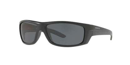 Lentes De Sol Sunglass Hut HU2007 Gris/Negro