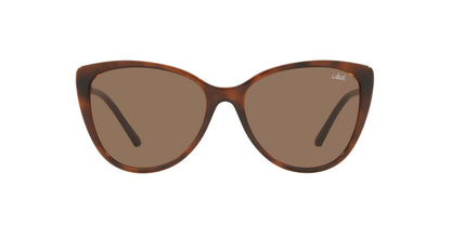 Lentes De Sol Jack Pacific JK1015BM Café/Havana