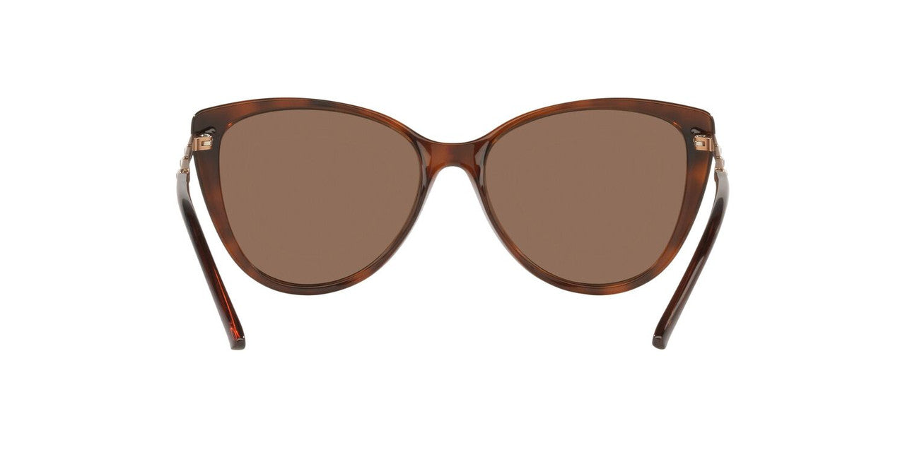 Lentes De Sol Jack Pacific JK1015BM Café/Havana