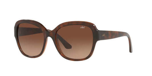 Lentes De Sol Jack Pacific JK1025M Café/Havana