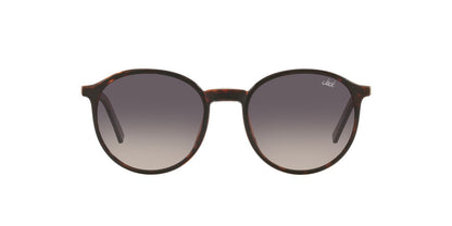 Lentes De Sol Jack Pacific 0JK1026M Café/Havana