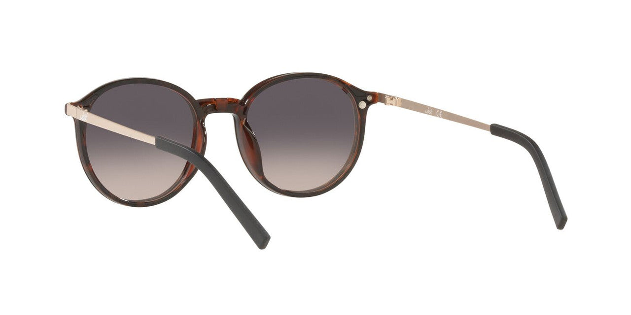 Lentes De Sol Jack Pacific 0JK1026M Café/Havana