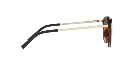 Lentes De Sol Jack Pacific 0JK1026M Café/Havana