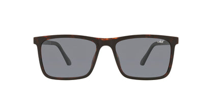 Lentes De Sol Jack Pacific JK1029M Gris/Havana