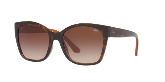 Lentes De Sol Jack Pacific JK1036M Café/Havana