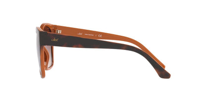 Lentes De Sol Jack Pacific JK1036M Café/Havana