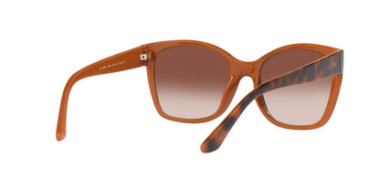 Lentes De Sol Jack Pacific JK1036M Café/Havana