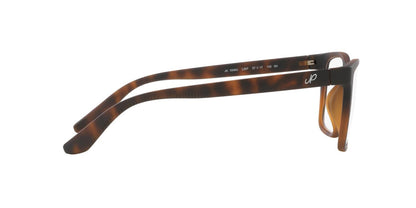 Lentes De Sol Jack Pacific JK1040U Café/Havana