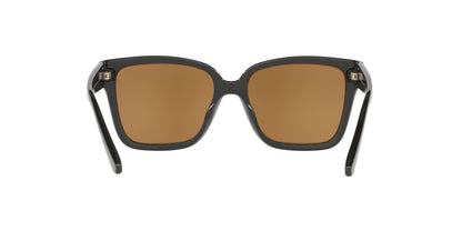 Lentes De Sol Jack Pacific JK1044U Café/Negro
