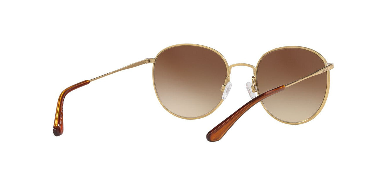 Lentes De Sol Jack Pacific JK3008 Café/Dorado