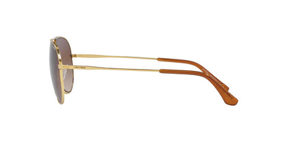 Lentes De Sol Jack Pacific JK3009 Café/Dorado