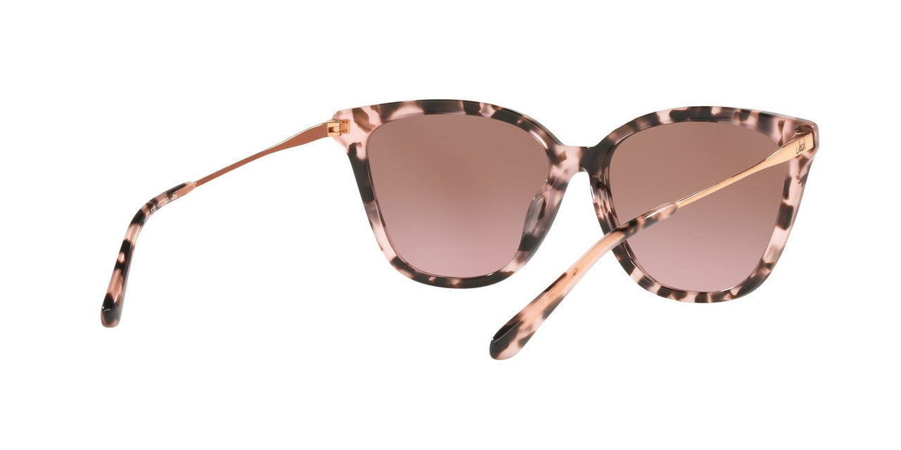 Lentes De Sol Jack Pacific JK6001M Rosa/Havana