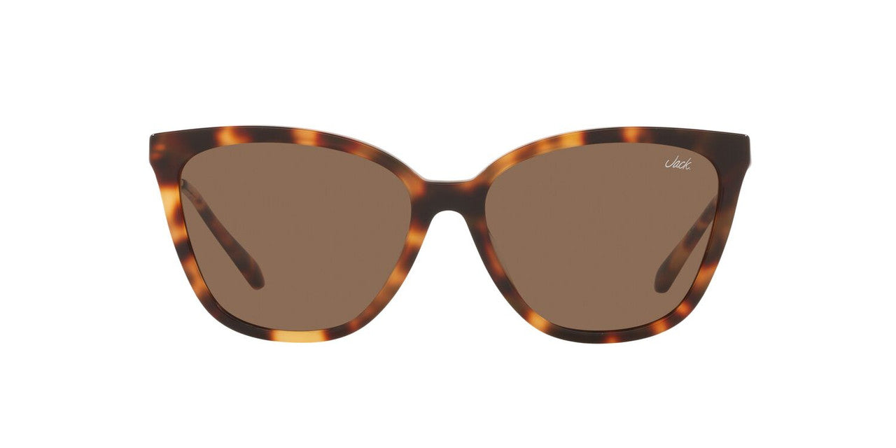 Lentes De Sol Jack Pacific JK6001M Café/Havana