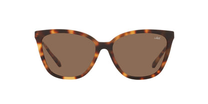 Lentes De Sol Jack Pacific JK6001M Café/Havana
