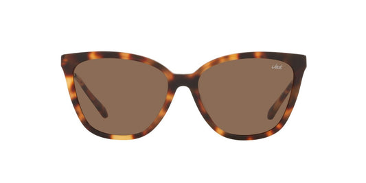Lentes De Sol Jack Pacific JK6001M Café/Havana