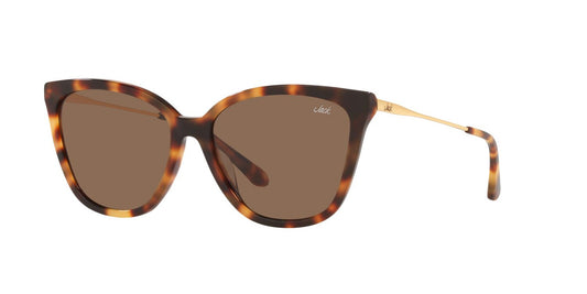 Lentes De Sol Jack Pacific JK6001M Café/Havana