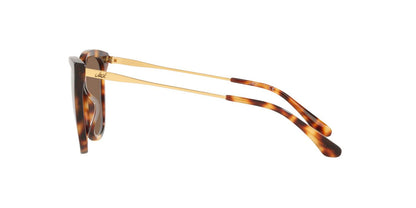 Lentes De Sol Jack Pacific JK6001M Café/Havana