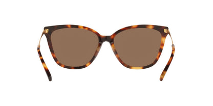 Lentes De Sol Jack Pacific JK6001M Café/Havana
