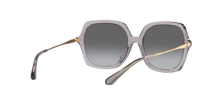 Lentes De Sol Jack Pacific JK6002M Gris/Gris