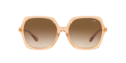 Lentes De Sol Jack Pacific JK6002M Café/Beige