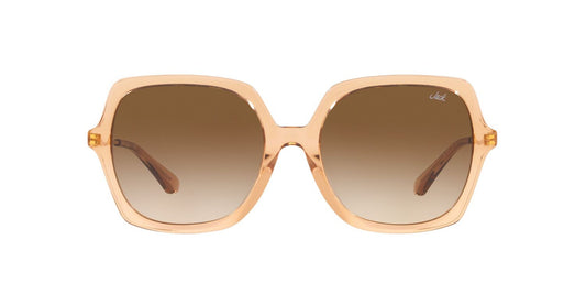 Lentes De Sol Jack Pacific JK6002M Café/Beige