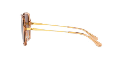 Lentes De Sol Jack Pacific JK6002M Café/Beige
