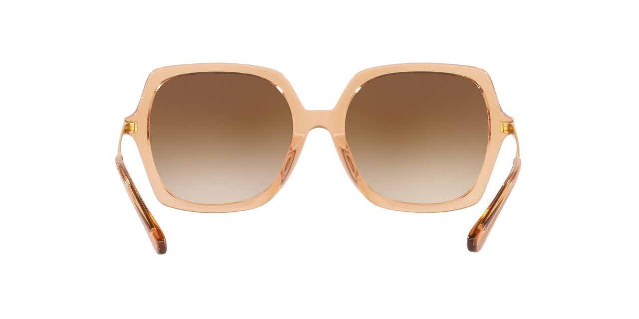 Lentes De Sol Jack Pacific JK6002M Café/Beige
