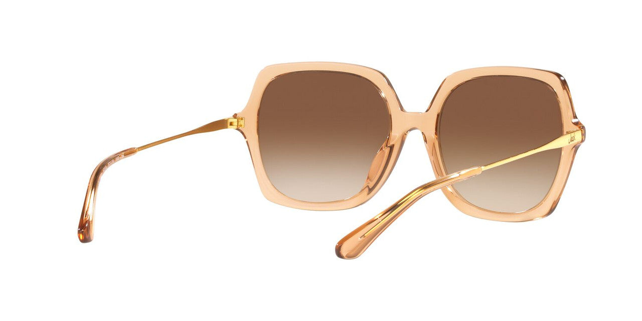 Lentes De Sol Jack Pacific JK6002M Café/Beige