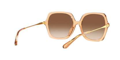 Lentes De Sol Jack Pacific JK6002M Café/Beige