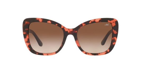 Lentes De Sol Jack Pacific JK6003UM Café/Havana