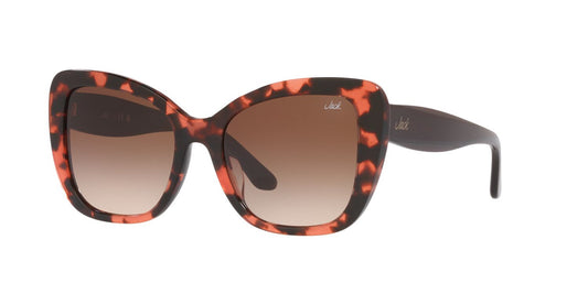 Lentes De Sol Jack Pacific JK6003UM Café/Havana