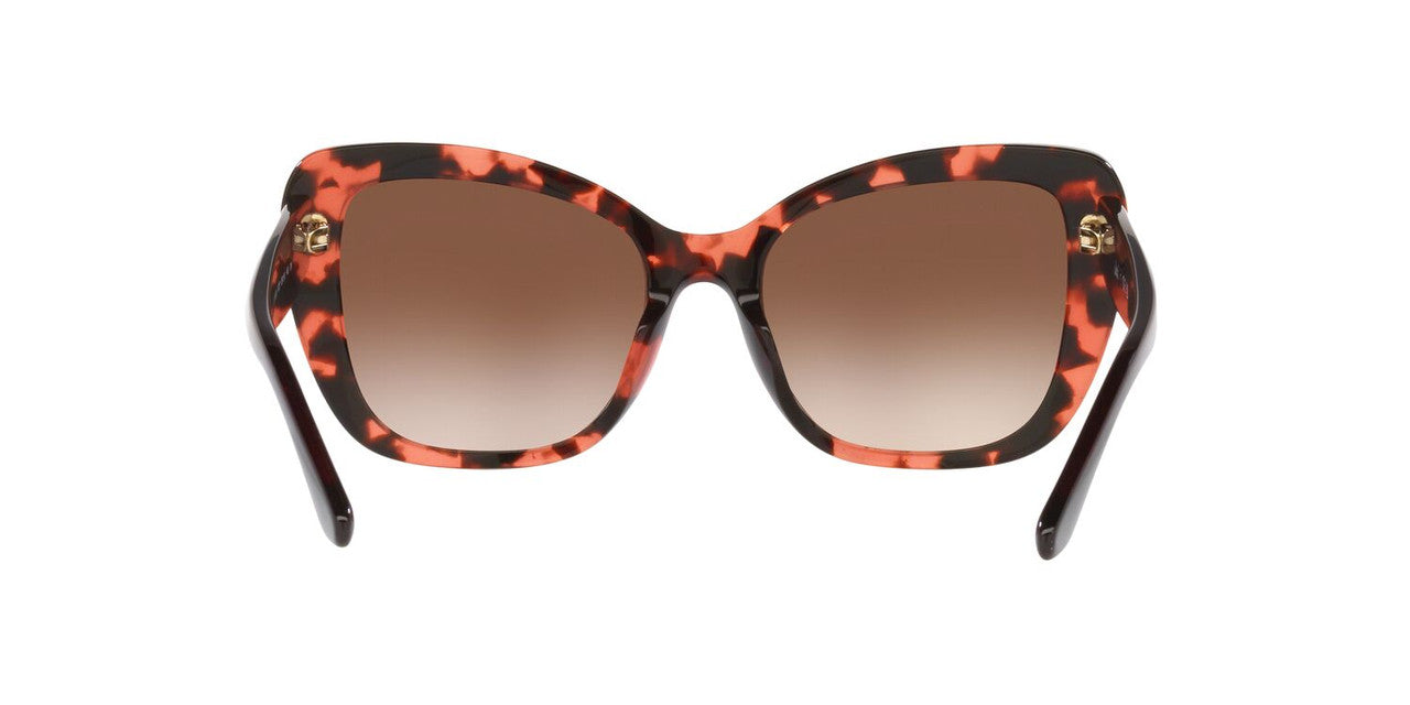 Lentes De Sol Jack Pacific JK6003UM Café/Havana